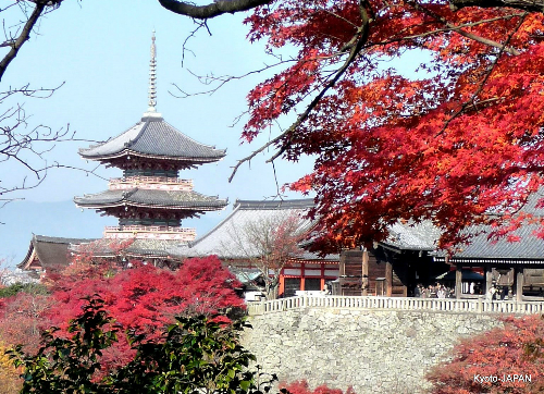 Nhật Bản vào mùa thu với lá phong đỏ. Ảnh: Tugo.