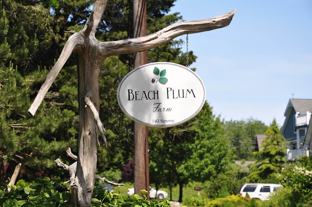 Không chỉ nổi tiếng với nhiều loại nông sản tươi ngon, Beach Plum Farm còn sở hữu một không gian đẹp như mơ khiến bất cứ du khách nào từng đặt chân đến cũng phải mê mẩn: