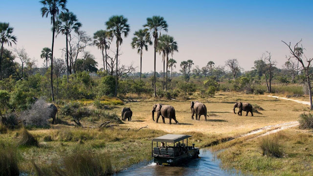 Với những khu vực hoang dã xa xôi và những vùng đất dân cư thưa thớt rộng lớn, tour du lịch Botswana safari là một trải nghiệm rất khác so với các safari ở những nơi khác ở Châu Phi. Cho dù ở khu vực rộng lớn của sa mạc Kalahari và Makgadikgadi Pans hay giữa một mạng lưới các kênh và đầm phá ở Okavango Delta Botswana, khung cảnh rất đặc biệt.