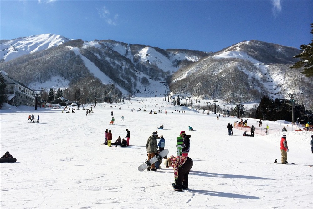 Trượt tuyết tại Hakuba. Ảnh: Japan travel