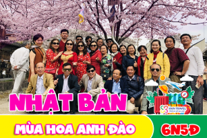 Tour Du lịch Nhật Bản Hoa Anh Đào 2023 Khởi hành từ Hà Nội bay Vietnam Airlines