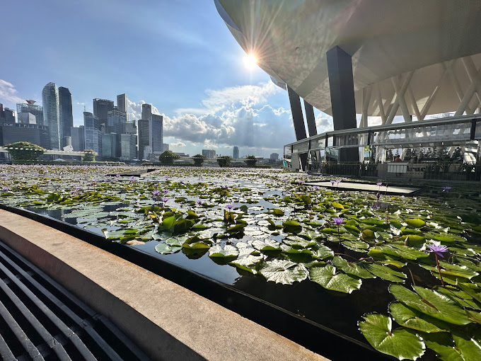 Hành Trình Khám Phá Hai Điểm Đến