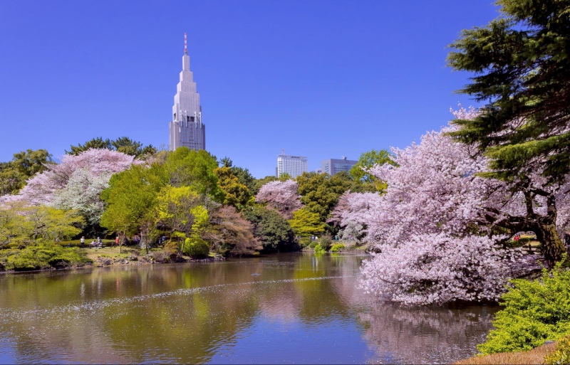 Shinjuku Gyoen