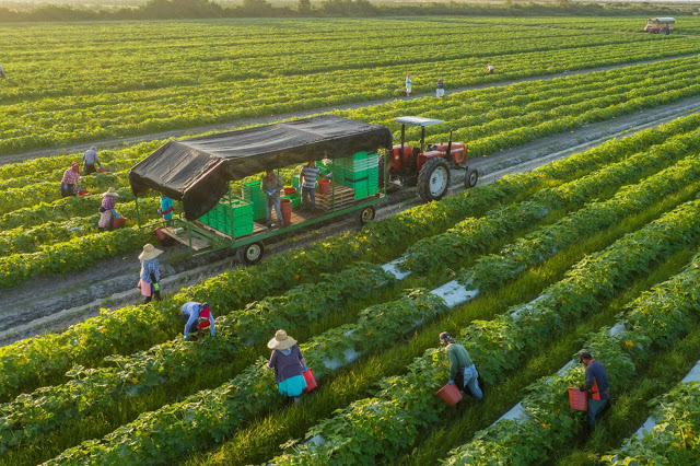 Càng hiện đại, con người càng có xu hướng tìm về thiên nhiên, nơi giúp họ lấy lại cân bằng và cảm giác bình yên vốn có. Bởi vậy mà những trang trại Organic với vẻ đẹp thuần khiết luôn được mọi người yêu thích ghé thăm. Cùng điểm danh những trang trại Organic xinh đẹp thuộc hàng Top thế giới ngay nhé! Bạn hẳn sẽ bất ngờ khi Việt Nam cũng có một trang trại hữu cơ thuộc hàng Top thế giới đấy!