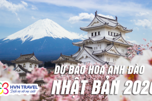 Dự Báo Lịch Nở Hoa Anh Đào Nhật Bản 2020 Mới Nhất