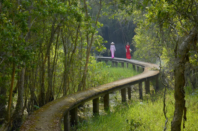 Làng nổi Tân Lập (Long An)