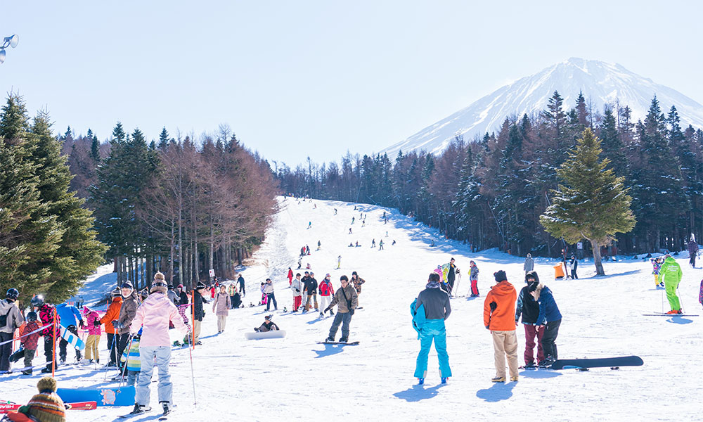 DU XUÂN BÍNH NGỌ XỨ SỞ PHÙ TANGTOKYO – KANAGAWA – SHIZUOKA – YAMANASHI - TOKYO