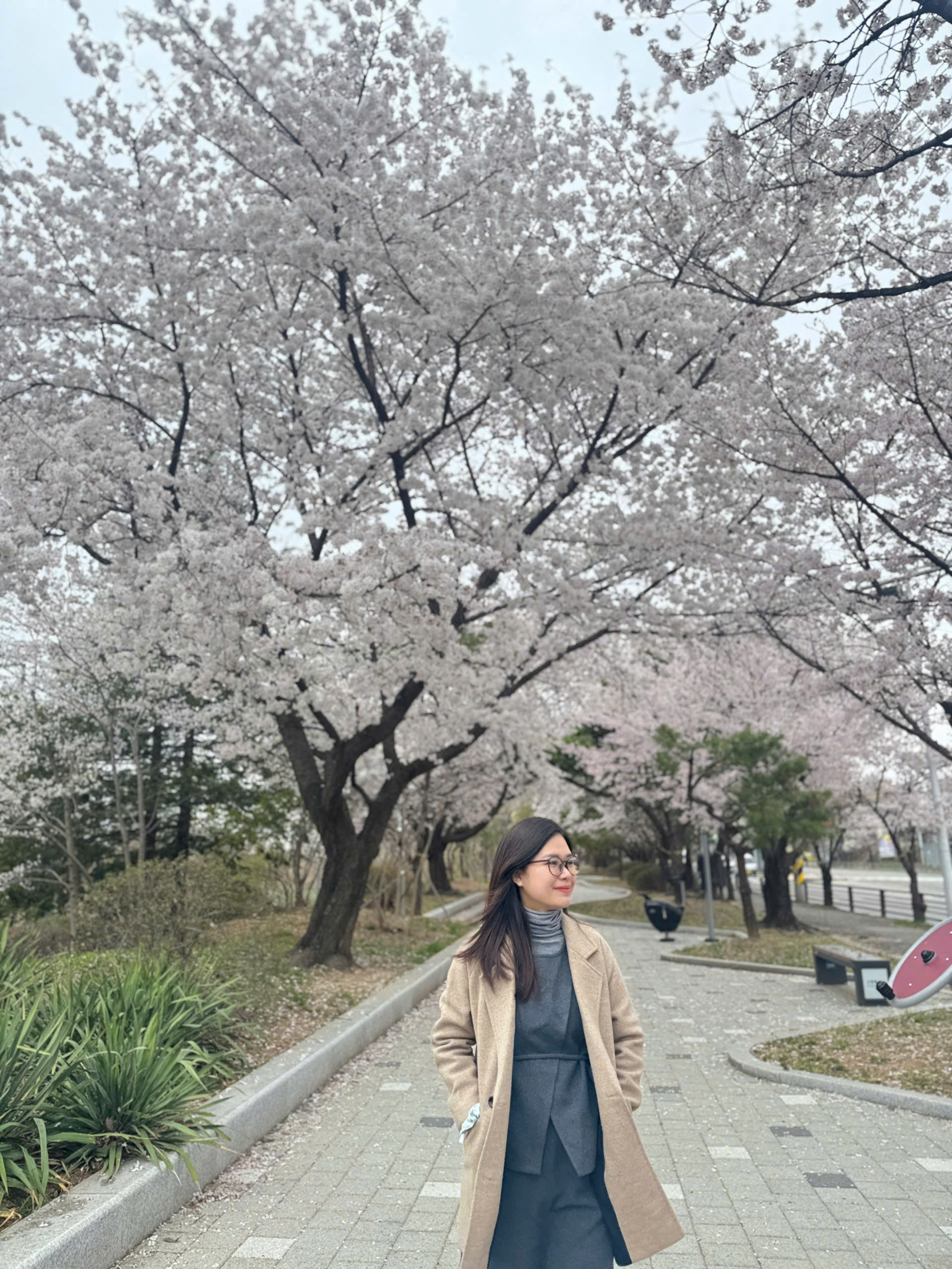 Tour Du Lịch Hàn Quốc Mùa Hè