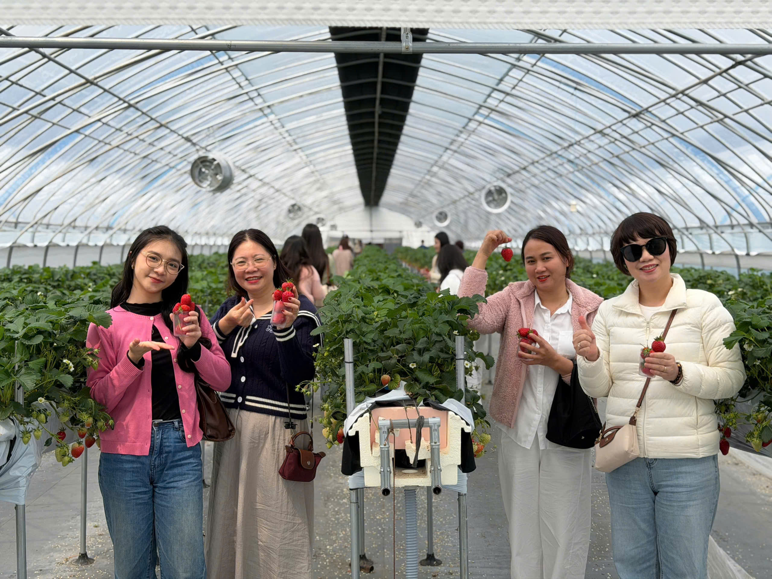 Tour Du Lịch Hàn Quốc Mùa Hè