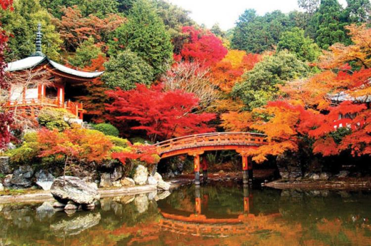 Mùa lá đỏ trên đất nước Nhật Bản