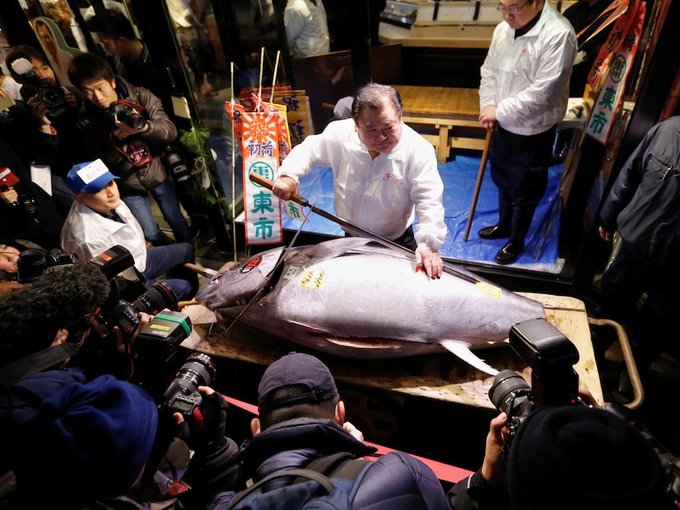 Nơi cá ngừ bán với giá hàng triệu USD một con