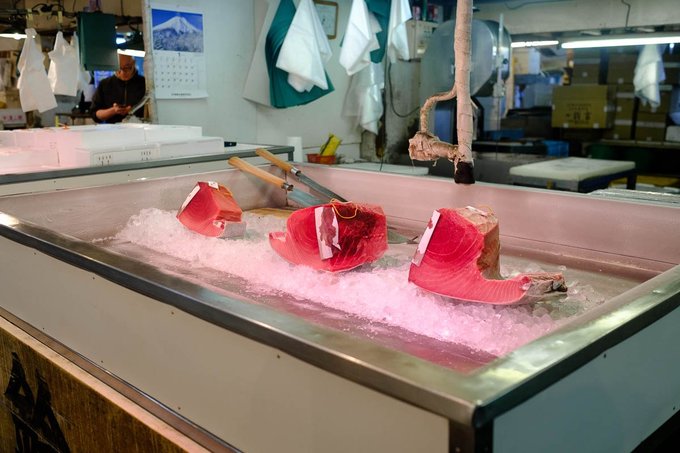 Nơi cá ngừ bán với giá hàng triệu USD một con