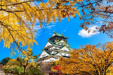 Lâu đài Tokyo cổ kính sau tầng lá cây đầy sắc màu