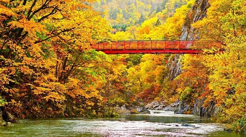 Công viên quốc gia Daisetsuzan vào mùa thu