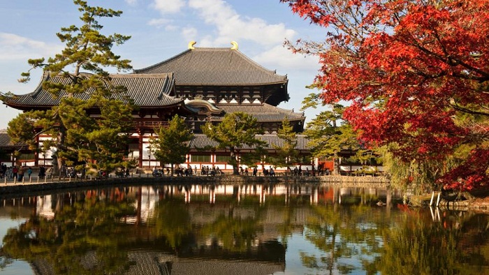Tour du lịch Nhật Bản Trải nghiệm mùa thu lá vàng – HVN TRAVEL Du Lịch Hà  Nội Việt Nam – Dịch Vụ Với Nụ Cười