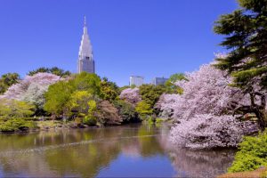 Địa điểm  du lịch Nhật Bản: 8 Nơi “phải đến” mùa xuân này