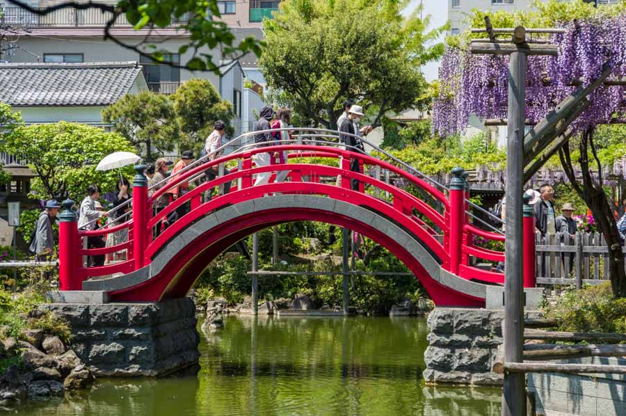 Kameido Tenjin nổi bật với cây cầu cong màu đỏ