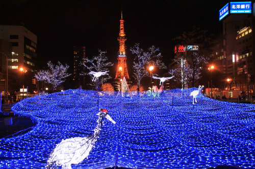 Lễ hội White illumination ở công viên Odori (ảnh sưu tầm: internet)