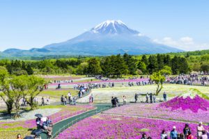 Những điều cần biết để tránh mất tiền oan khi du lịch Nhật Bản