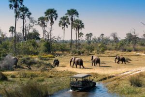 Botswana – Thế giới hoang dã đầy hấp dẫn ở châu Phi