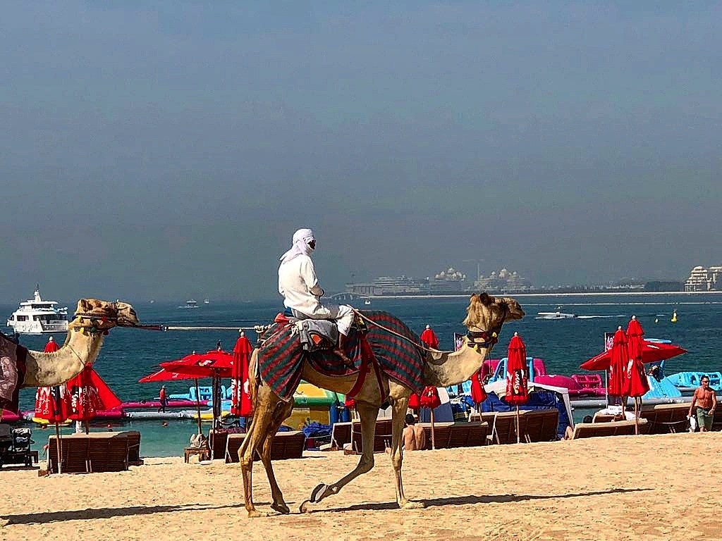 Đến Dubai không chỉ để "đốt tiền", du khách còn thích mê khi làm những điều này - 9