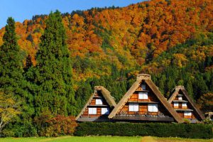 Du lịch Nhật Bản – Mùa thu ngắm lá phong rực rỡ