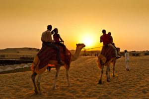 Cưỡi lạc đà trên sa mạc Desert Safari – Trải nghiệm độc đáo