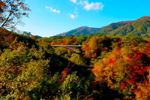 Tohoku – địa danh ngắm lá đỏ khi Nhật Bản vào thu