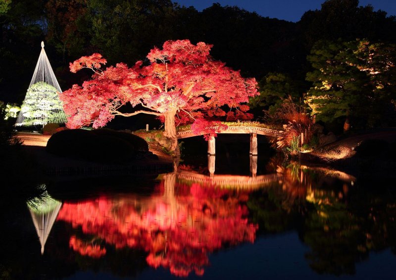 mùa thu Nhật Bản khu vườn Edo Period